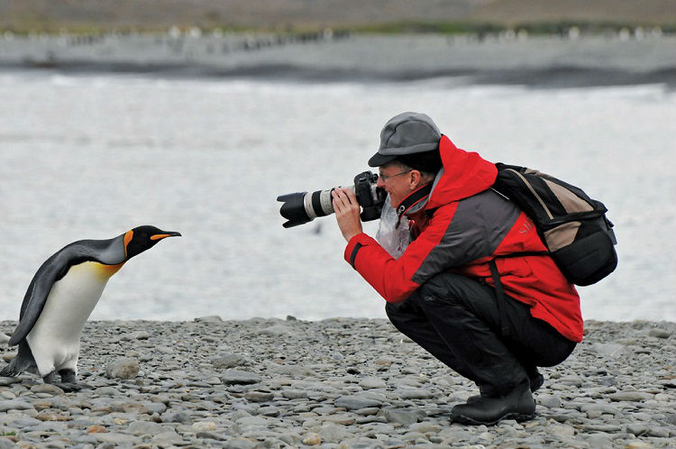 Photographer taking a photo of a penguin