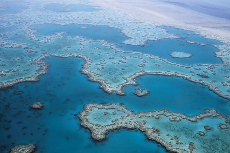 Great Barrier Reef - Whitsunday Islands, Australia