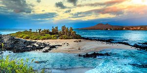 Galapagos island at sunset