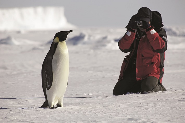 Man taking a picture of an Emperor penguin during an Antarctic cruise