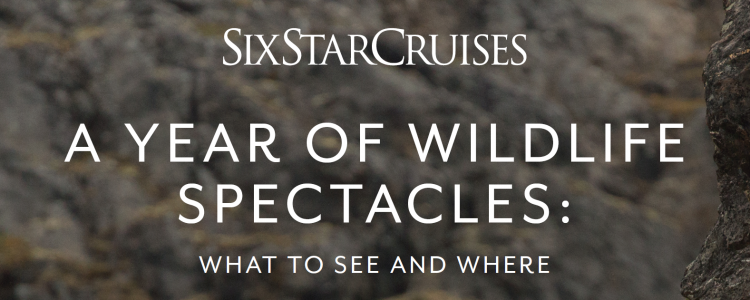Download your guide to wildlife spectacles across the world, and when to see them