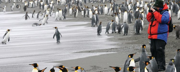 A Silversea expedition guest taking pictures of penguins in Antarctica