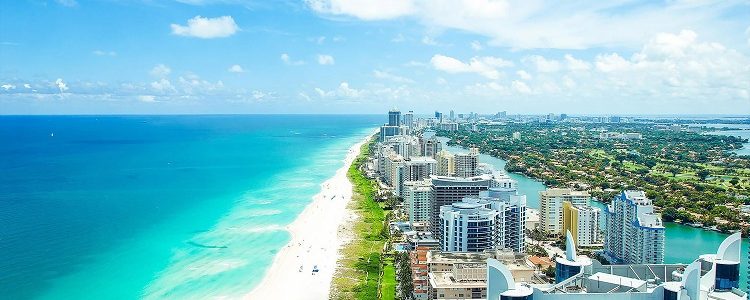 Skyscrapers lining lush Miami beach