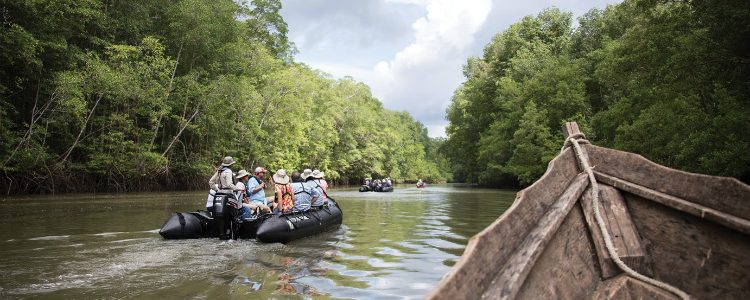 Guests on a Zodiac excursion through the Central American rainforest