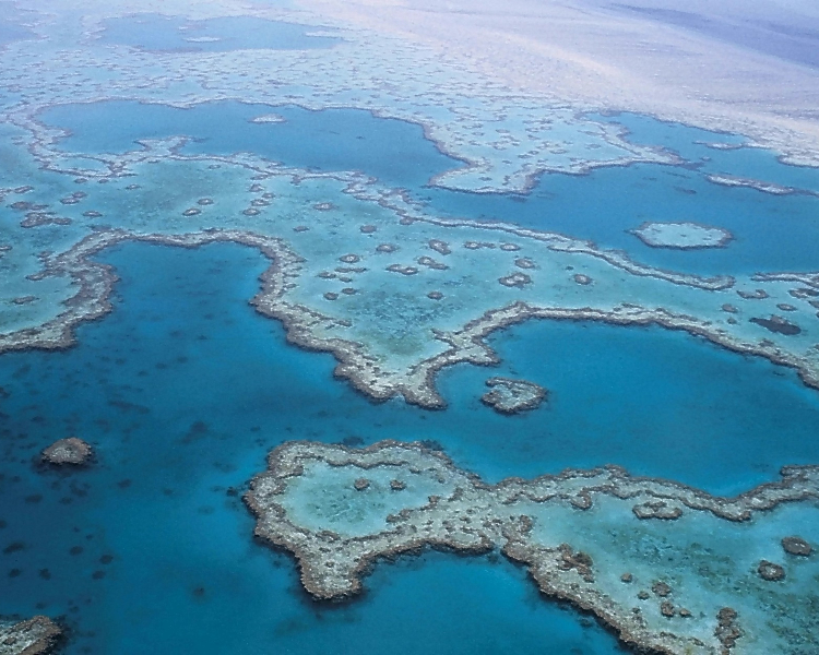 One of the Seven Wonders of the World - Australia's Great Barrier Reef