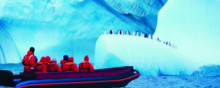 Excursion on a Zodiac viewing penguin colonies