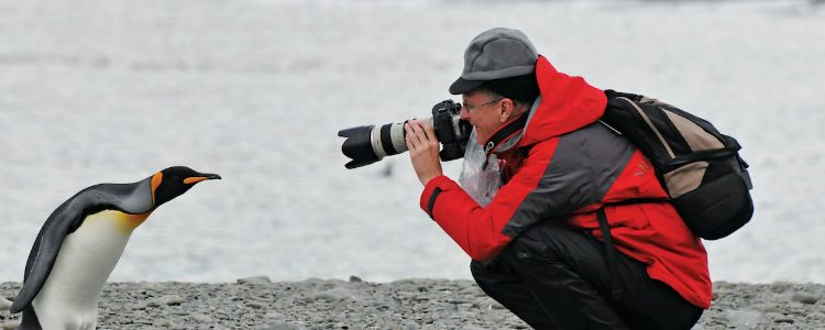 Silversea expedition guest taking pictures of a penguin in Antarctica
