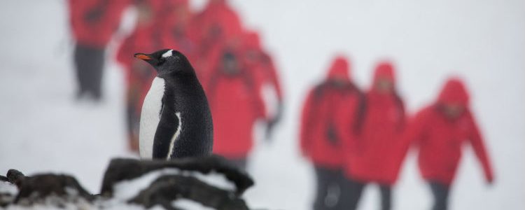 Silversea Expedition - Group with penguin in foreground