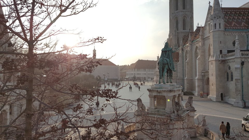 7 Image 7