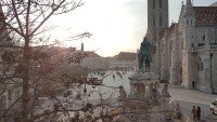 7 Image 7