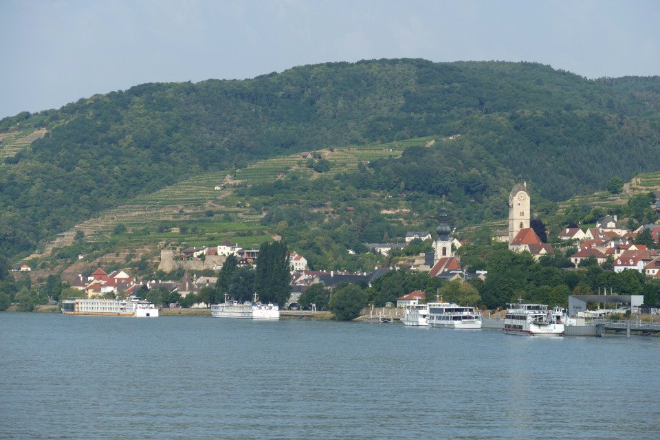 7 Image 7