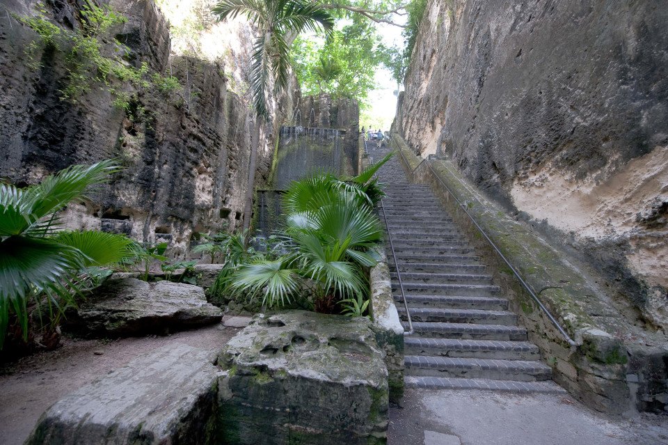 6 Image 6
