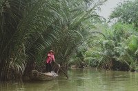 8 Image 8