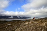 3 Image 3