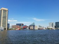 7 Image 7
