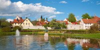 13 Image 13