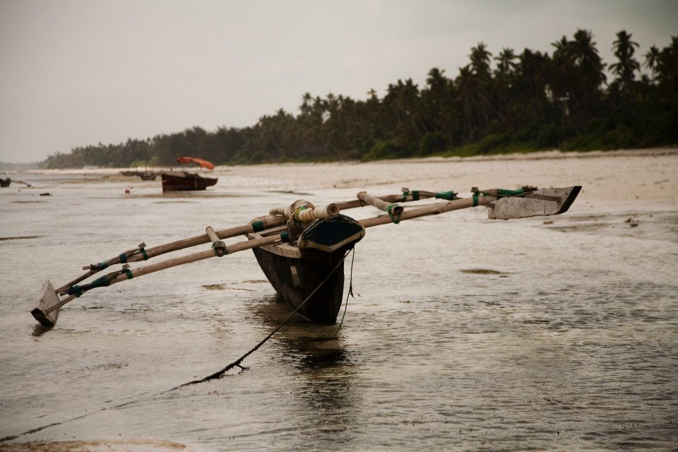 5 Image 5