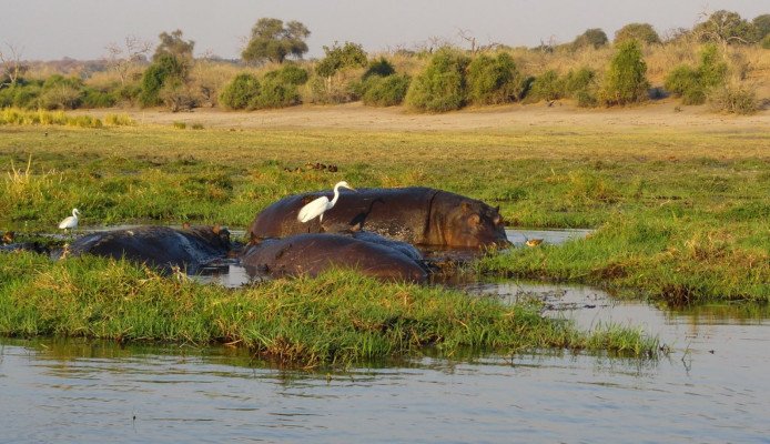 Discover Africa