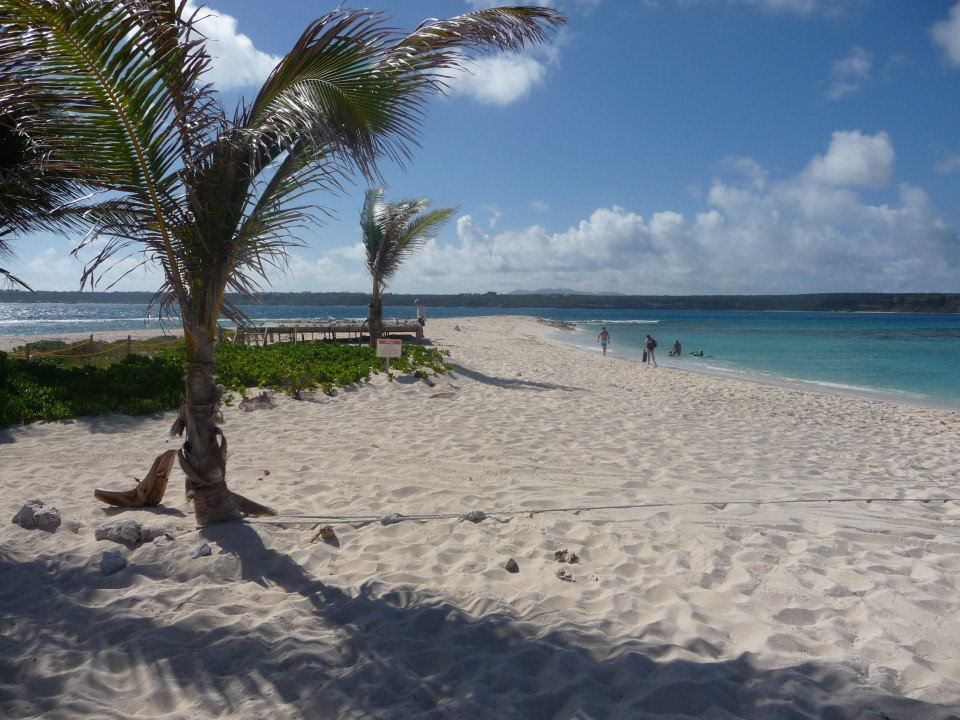 4 Image 4