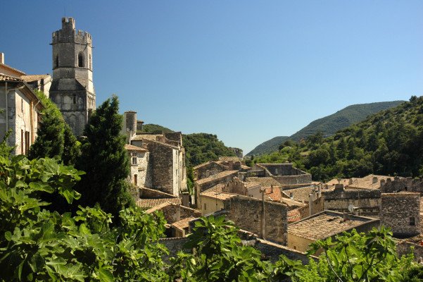 Burgundy & Provence