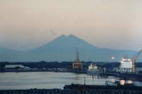 7 Image 7