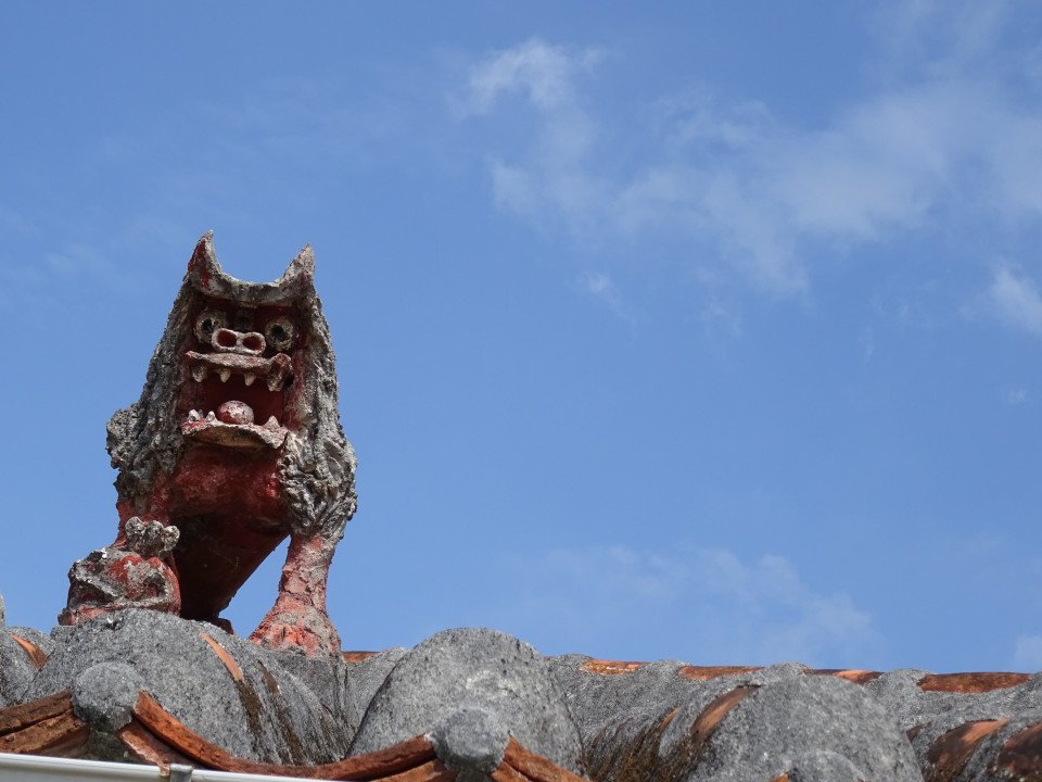 11 Image 11