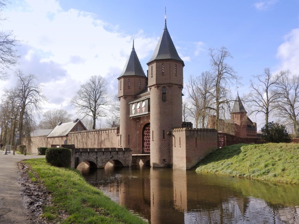 4 Image 4
