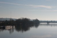 7 Image 7