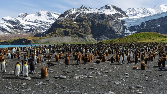 Puerto Williams to Puerto Williams