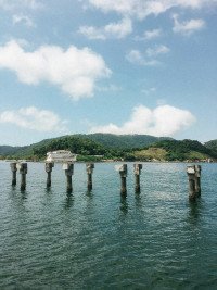41 Image 41