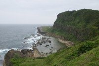 5 Image 5