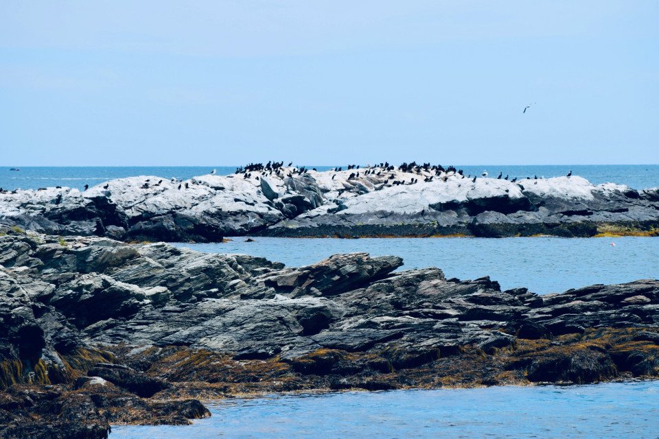 11 Image 11