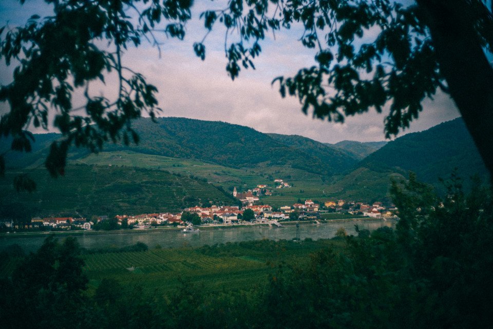 7 Image 7