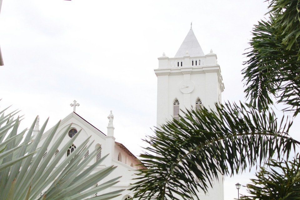 7 Image 7
