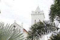 7 Image 7