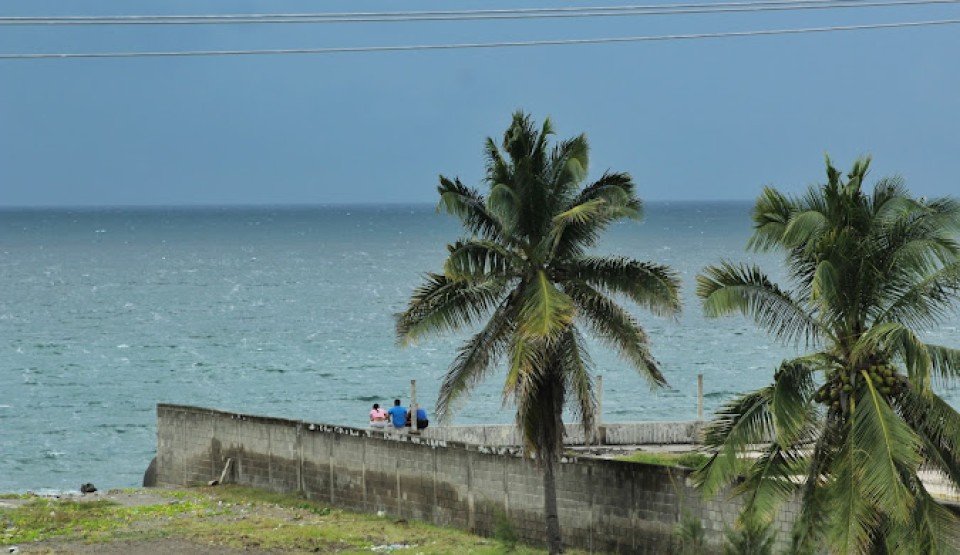 11 Image 11