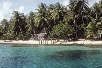 6 Image 6