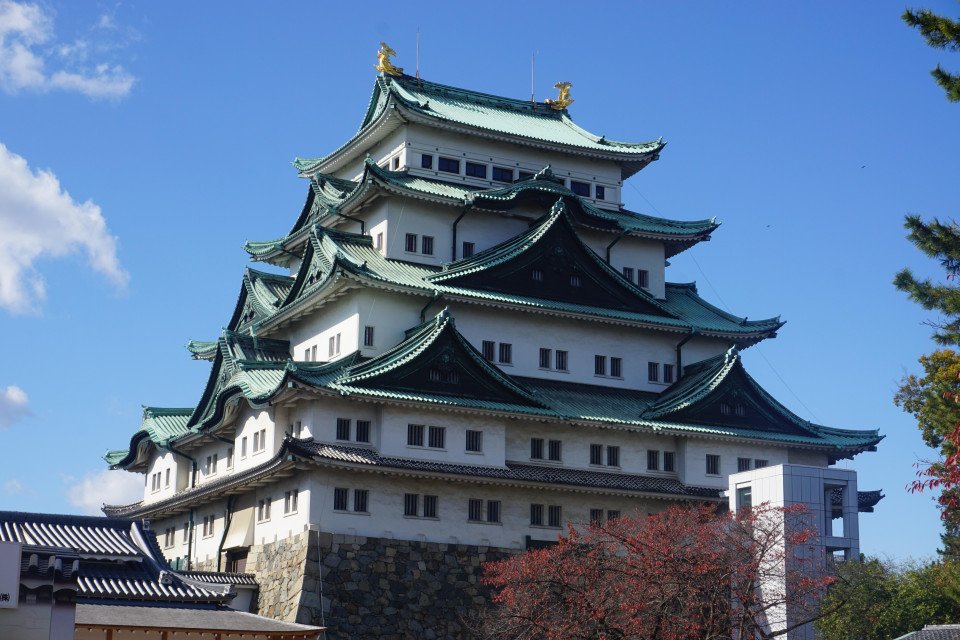 5 Image 5