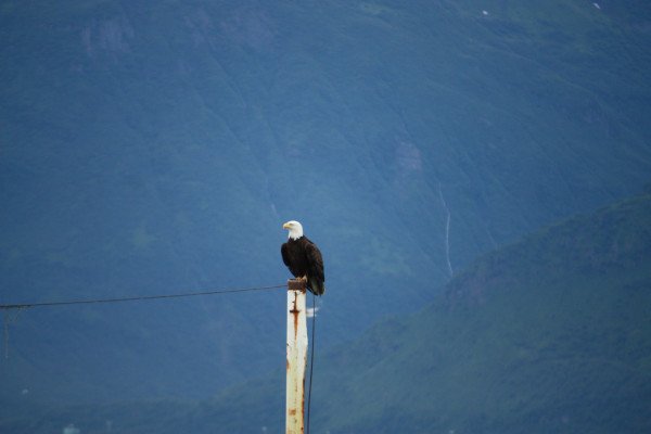 Vancouver to Seward (Anchorage