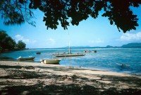 2 Image 2