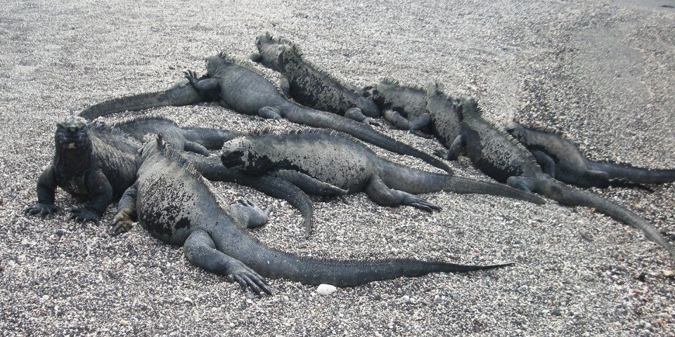 6 Image 6