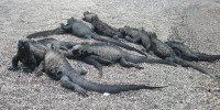 6 Image 6