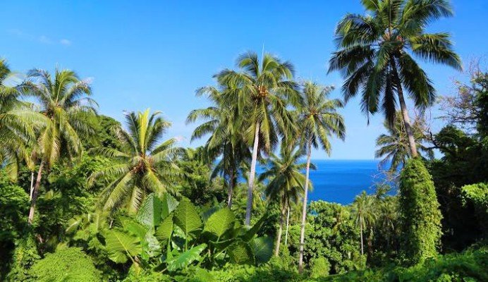 Lautoka to Apra
