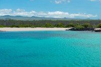 4 Image 4