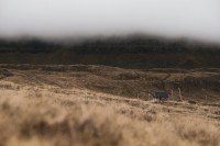 8 Image 8