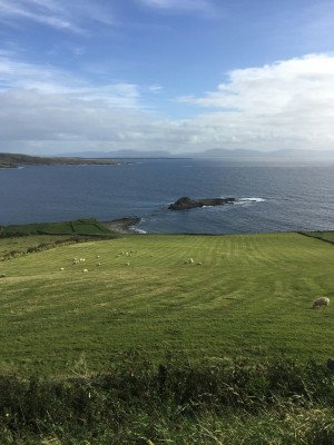 Bountiful British Isles