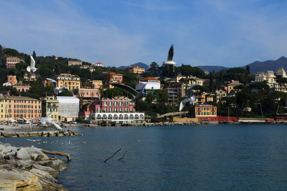3 Image 3