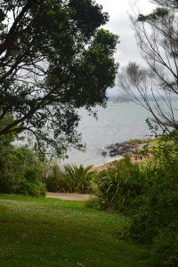 9 Image 9