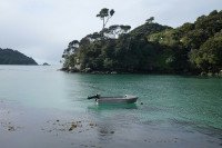 11 Image 11