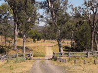 17 Image 17